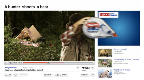 hunter-shoots-bear